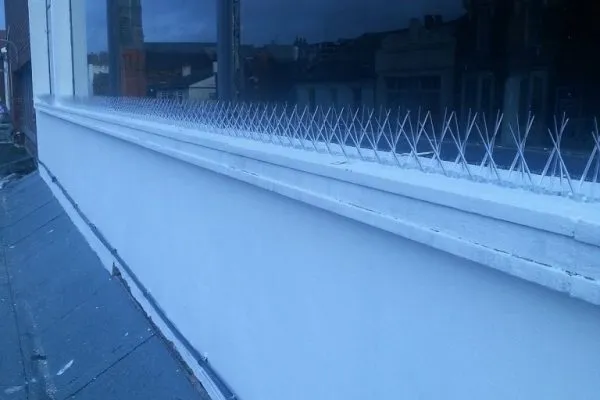 Pidgeon-Proofing-West-Bromwich-6-768x1024