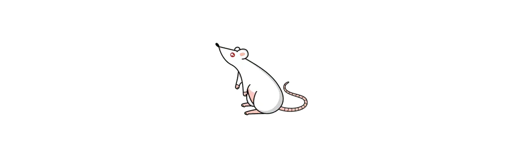 dangers of mice and rats