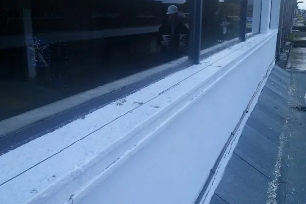 Pidgeon-Proofing-West-Bromwich-7-768x1024