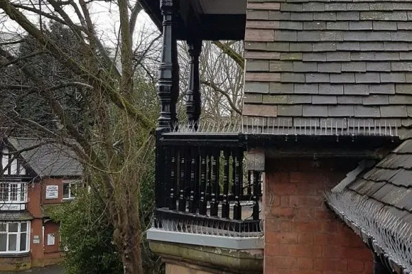 Pigeon Proofing 6