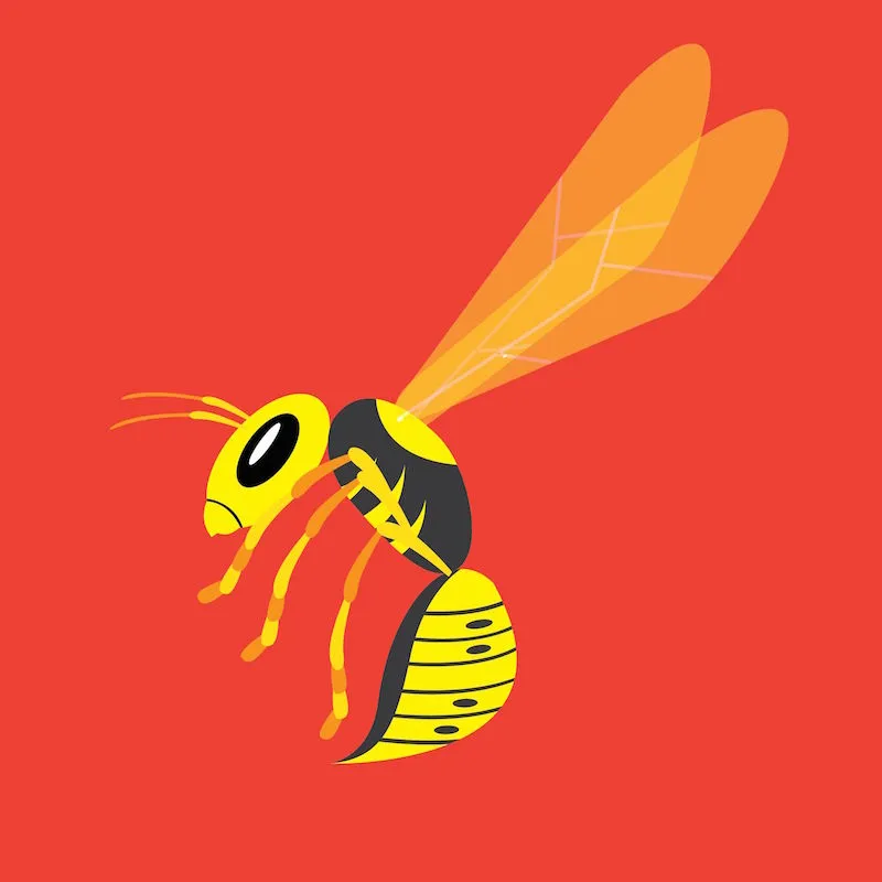 wasp-blog-1